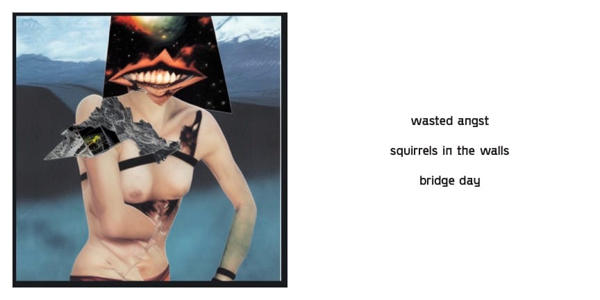 wasted angst / squirrels in the walls / bridge day