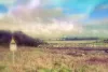 blurred and dreamy soft focus photo of a sign warning of quicksand. the background is a scenic seaside