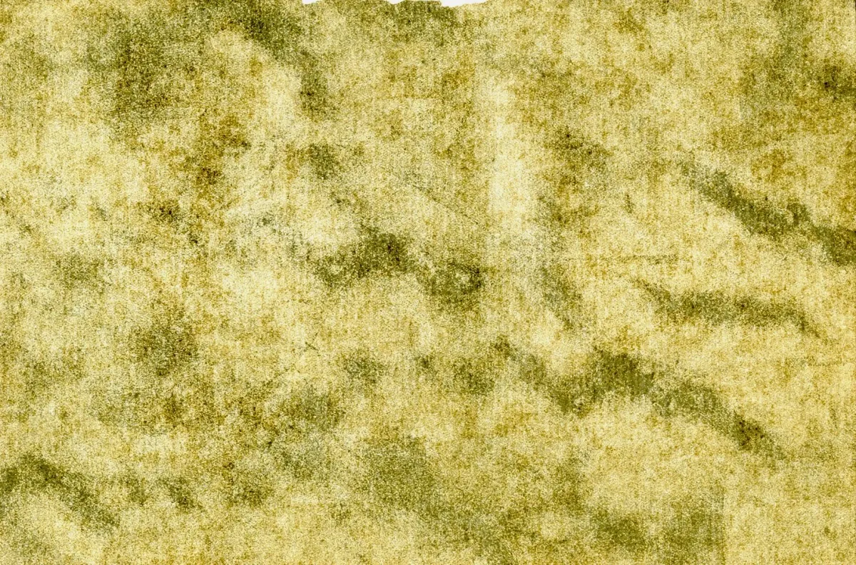 In Which a Neighborhood Witch Comes to My Aide