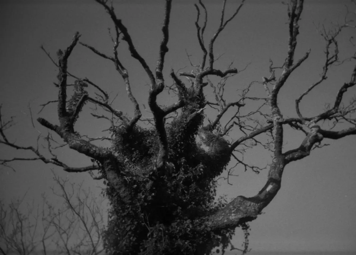 Call Me Benjamin Button