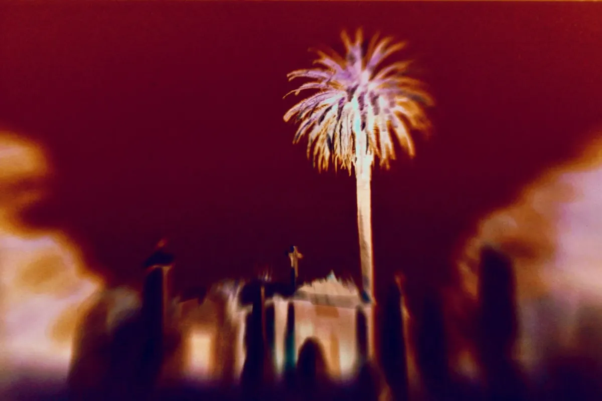 Blurry and grainy photo of a lone, tall palm tree towering over a tomb and several gravestones with crosses. The image is spooky and mysterious.