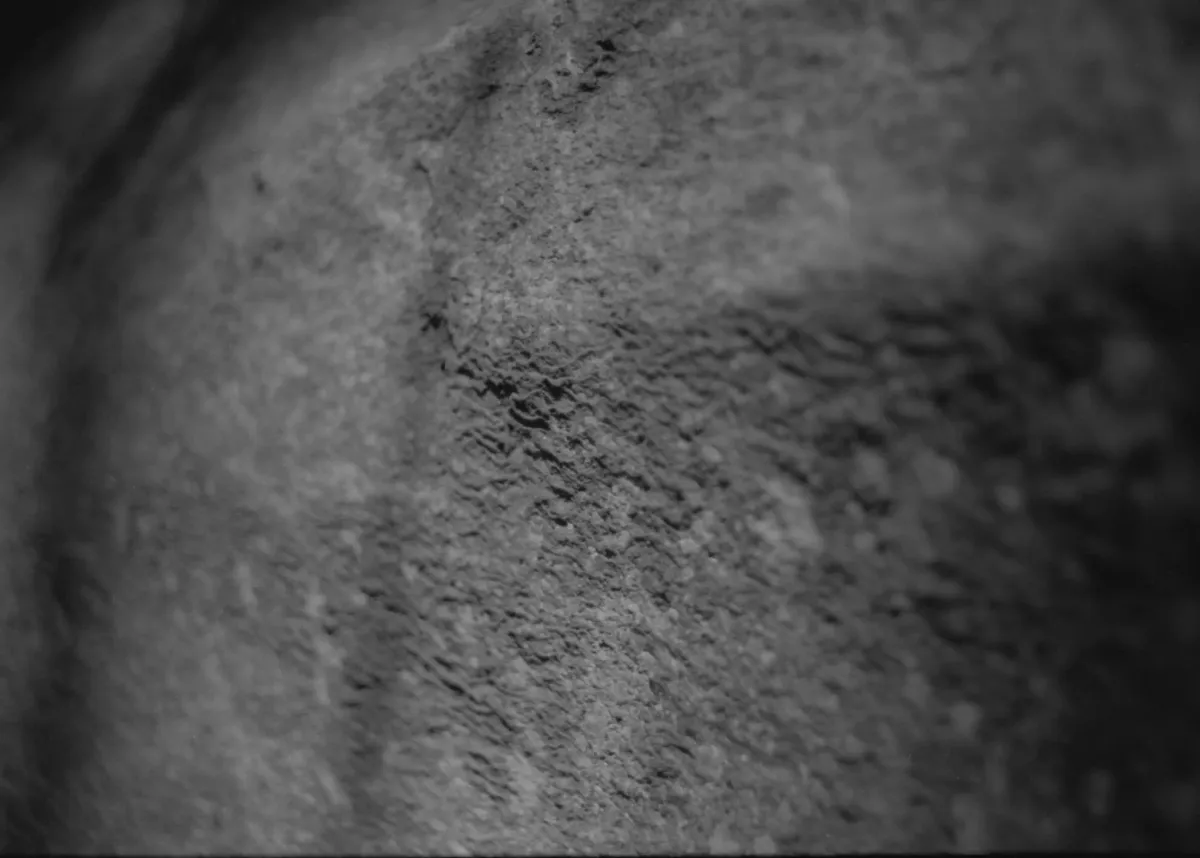 Black and white photo closeup of a rock. Most of the rock is out of focus.