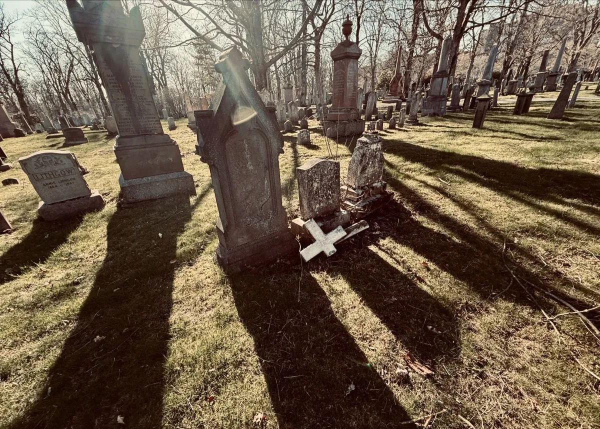 Washed out photograph of a wooded cemetery with long shadows on the ground. In the center is a cross that has fallen off a gravestone onto the ground.