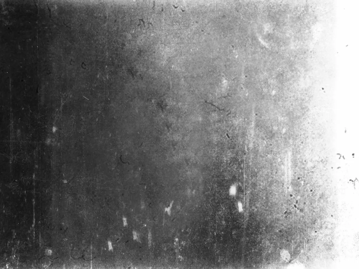 The Saddest Piss in the World