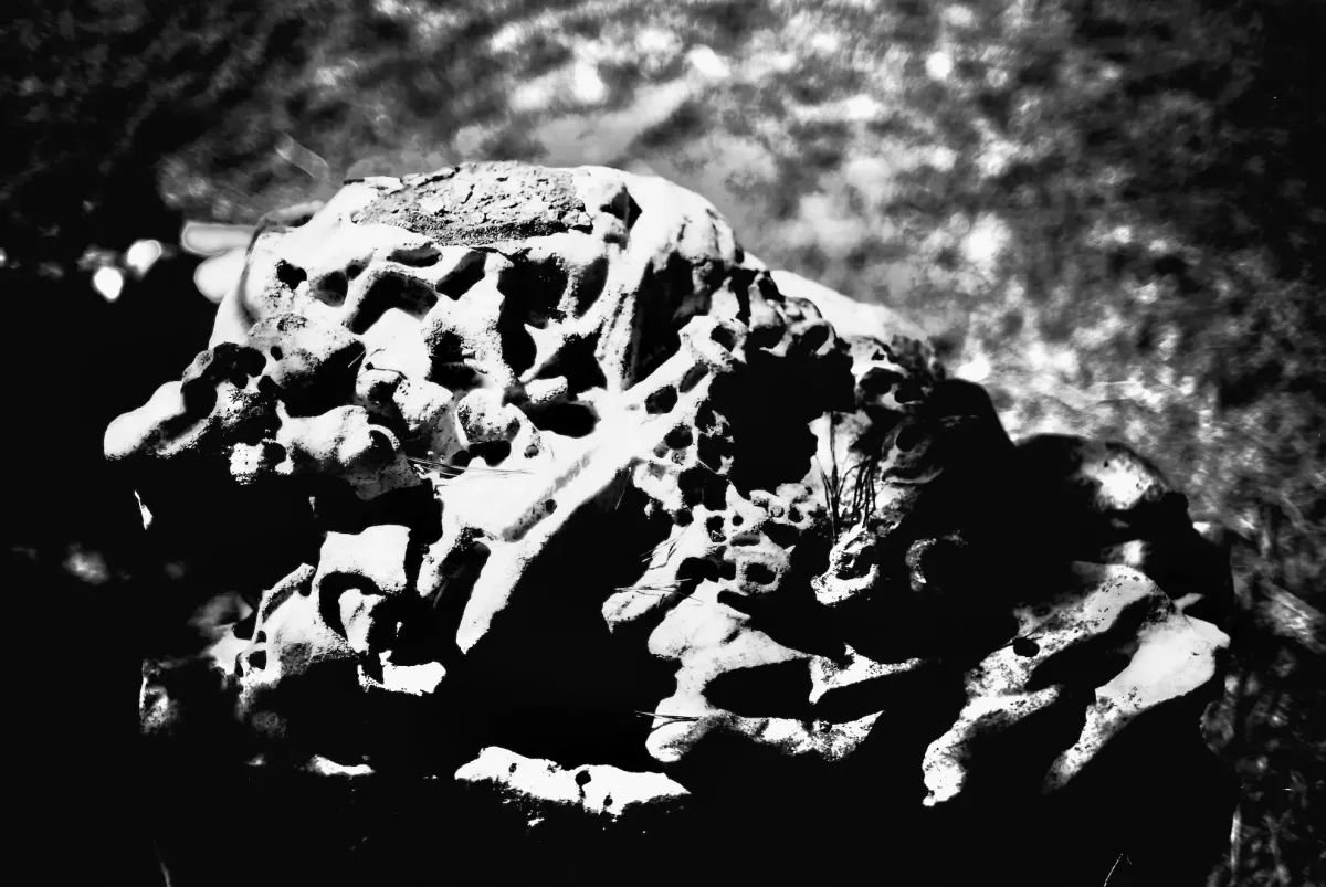 Very dark and high contrast photo of a large rock. The image is abstract and frightening.