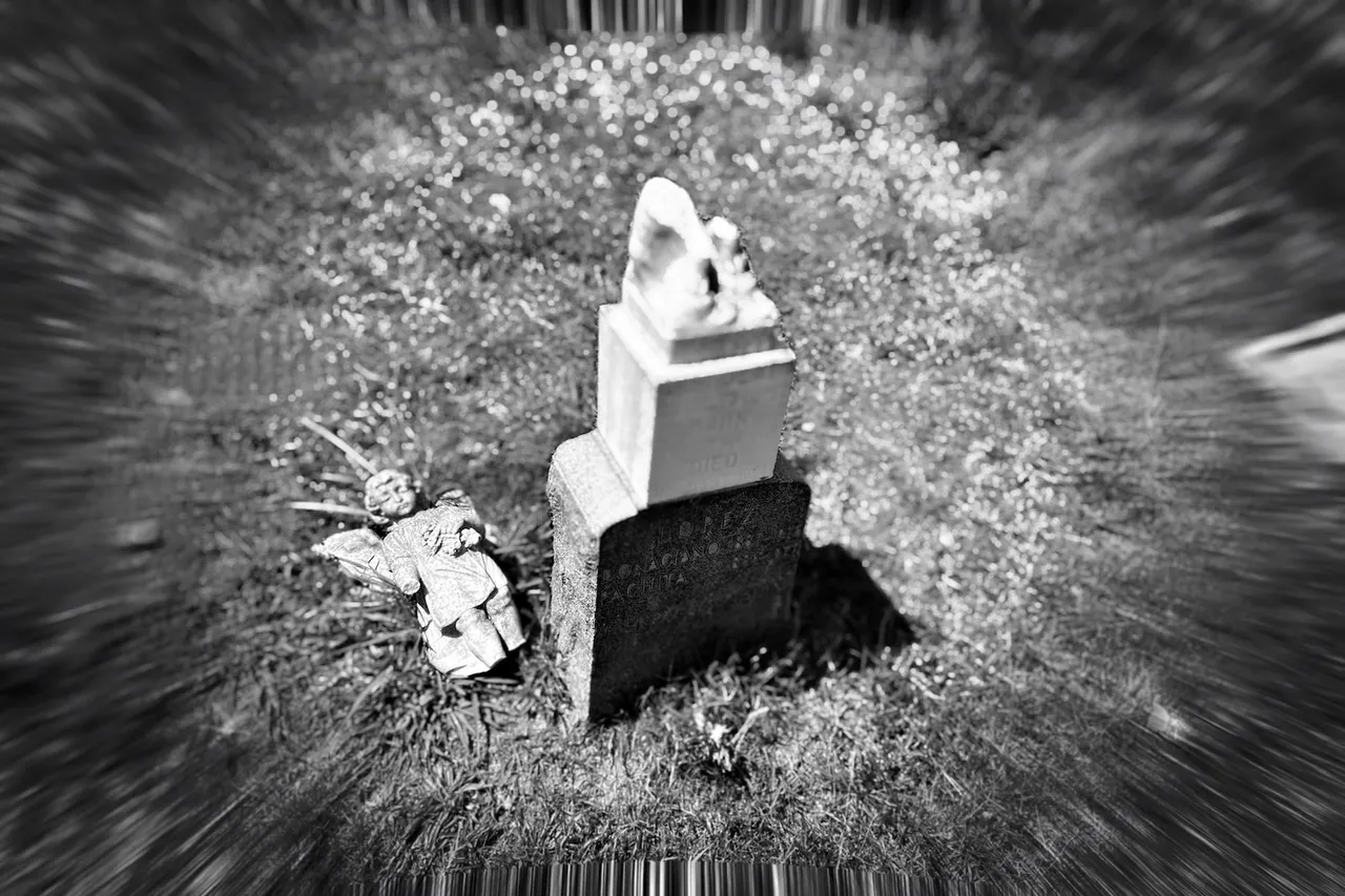 black and white photo of a gravestone. the concrete angel that was on top has fallen onto the ground.