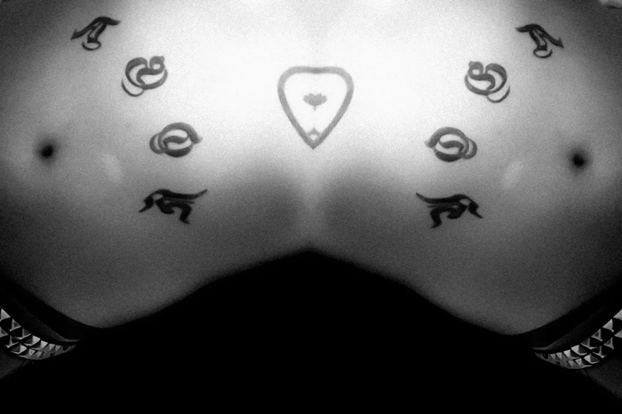 abstract image of what might be a tattooed belly over a black studded punk belt