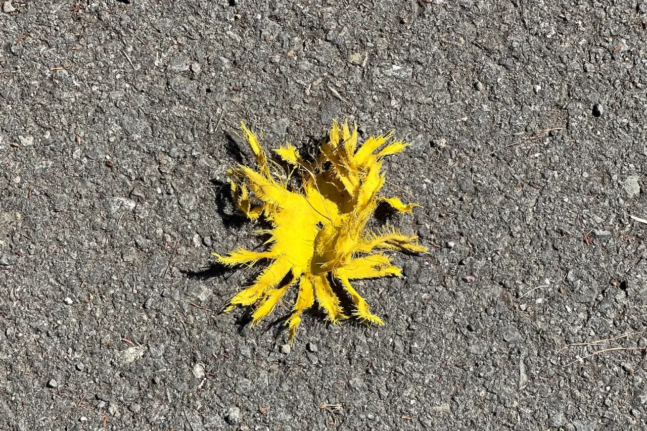 Random Encounter