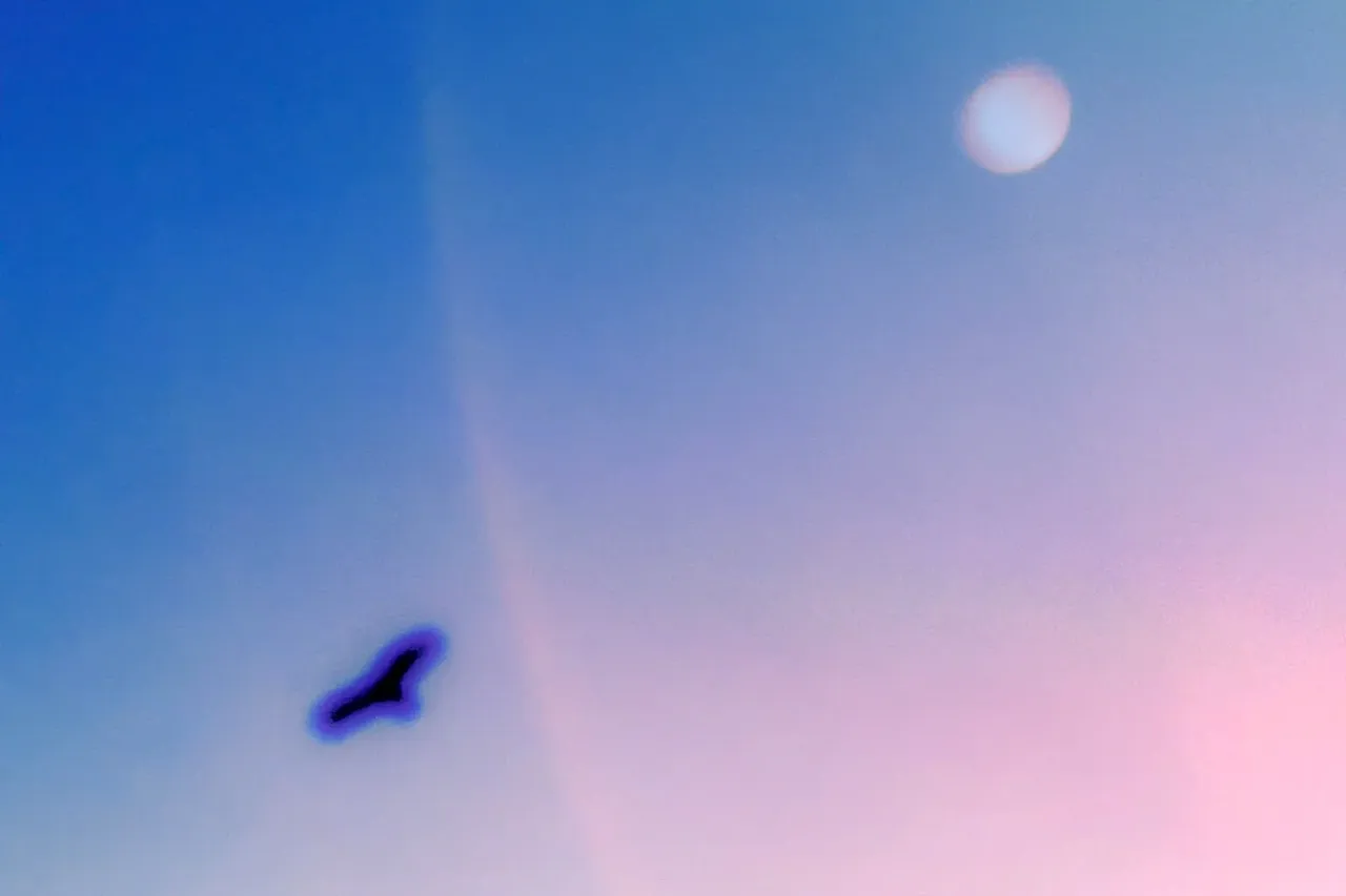 stylized pink and blue very blurred photo of a bird soaring below the moon