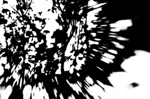 all i have are these words