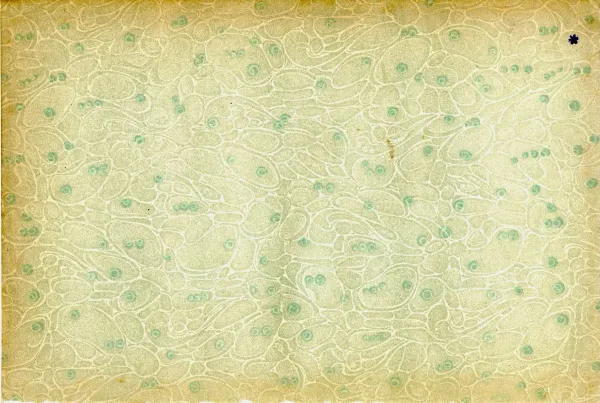 Queequeg, Cleopatra, and Xerxes Walk Into a Bar