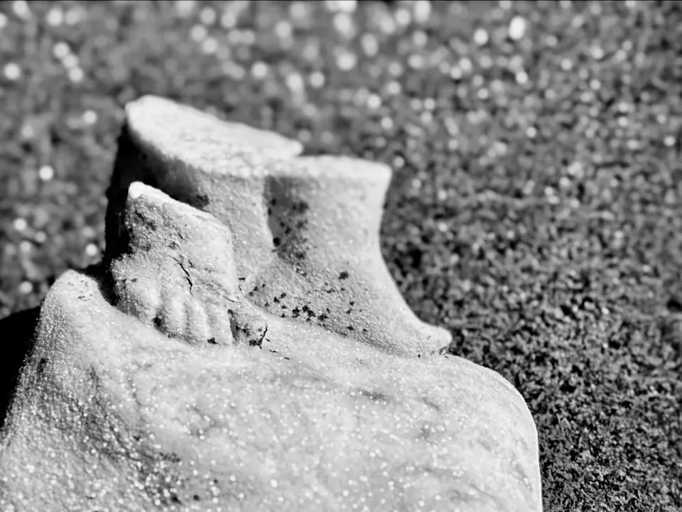 shoes for sale